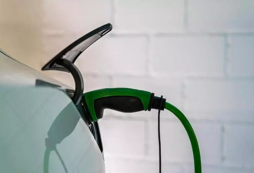 Fotos del hotel Waldhorn:  15