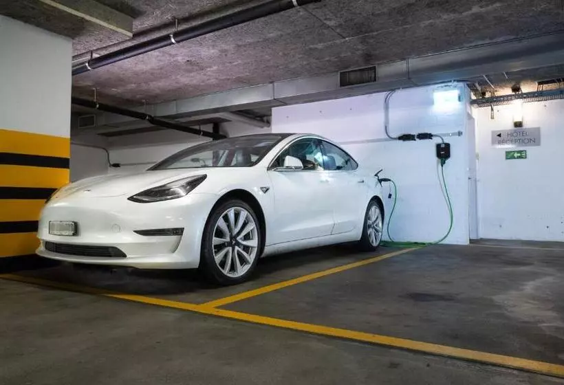 Fotos del hotel Waldhorn:  19