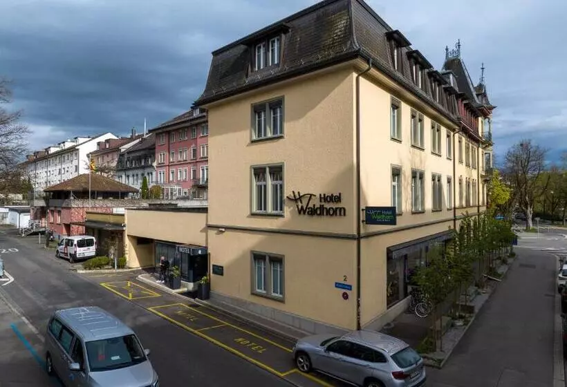 Fotos del hotel Waldhorn:  9