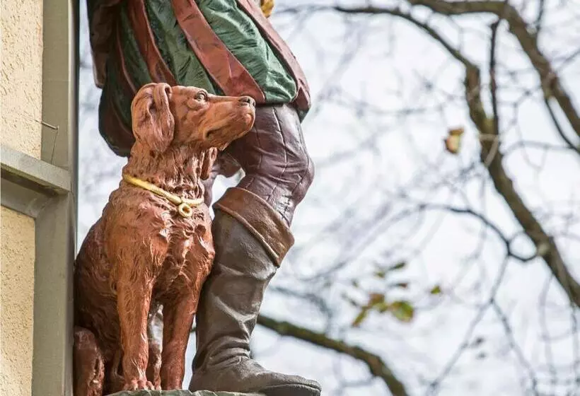 Fotos del hotel Waldhorn:  7