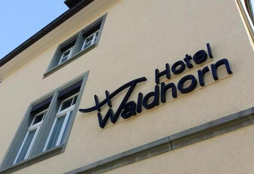 Fotos del hotel Waldhorn:  16