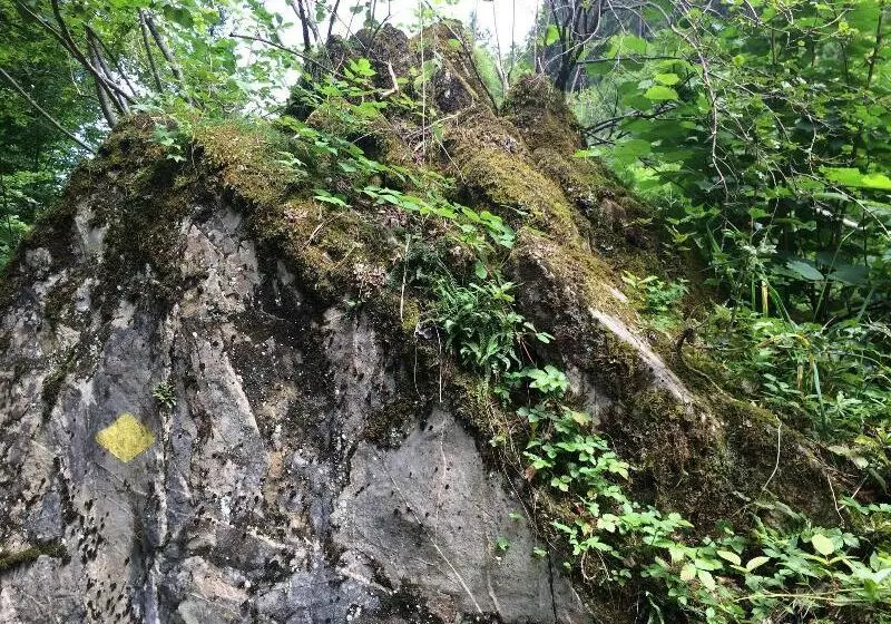 Fotos del hotel Bellevueterminus  Urban Lifestyle:  12