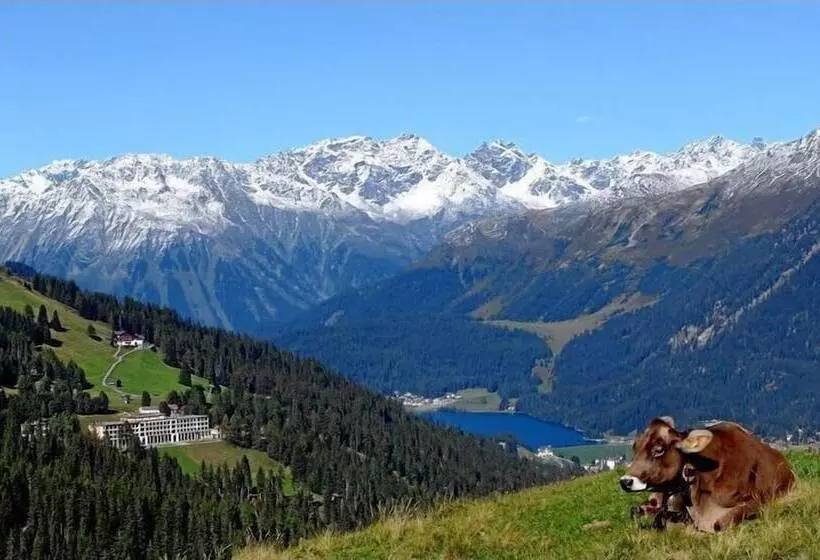 Fotos del hotel Schatzalp:  7