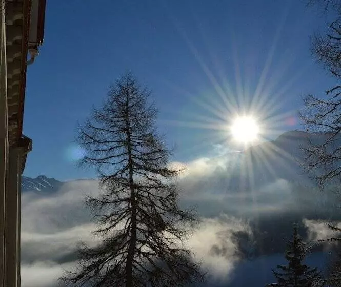 Fotos del hotel Schatzalp:  14