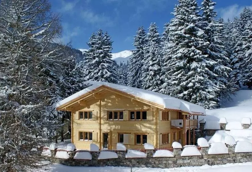 Fotos del hotel Schatzalp:  22