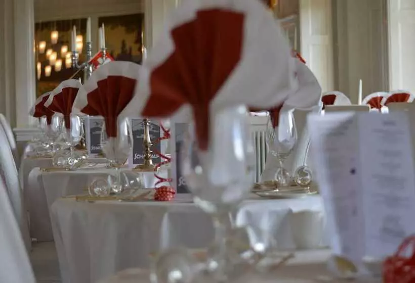 Fotos del hotel Schatzalp:  16