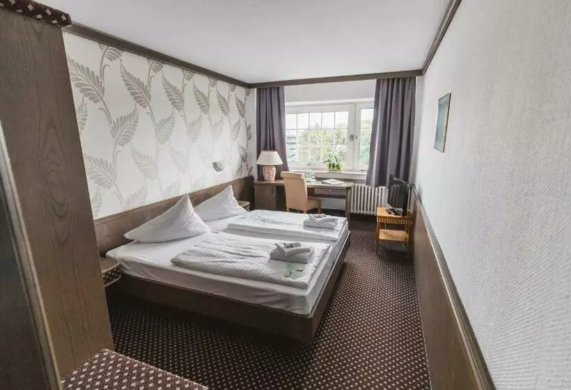 Fotos del hotel Terminal:  11