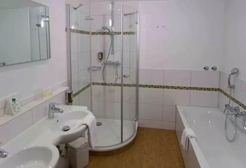 Fotos del hotel Westfalia:  10