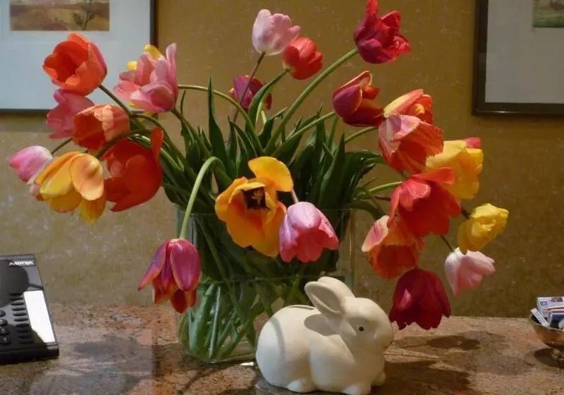 Fotos del hotel Central:  8