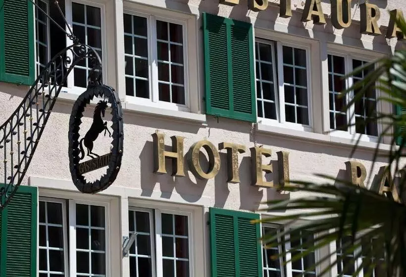 Rappen Am Münsterplatz