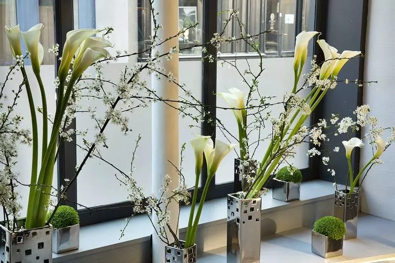 Fotos del hotel Beaumarchais:  5