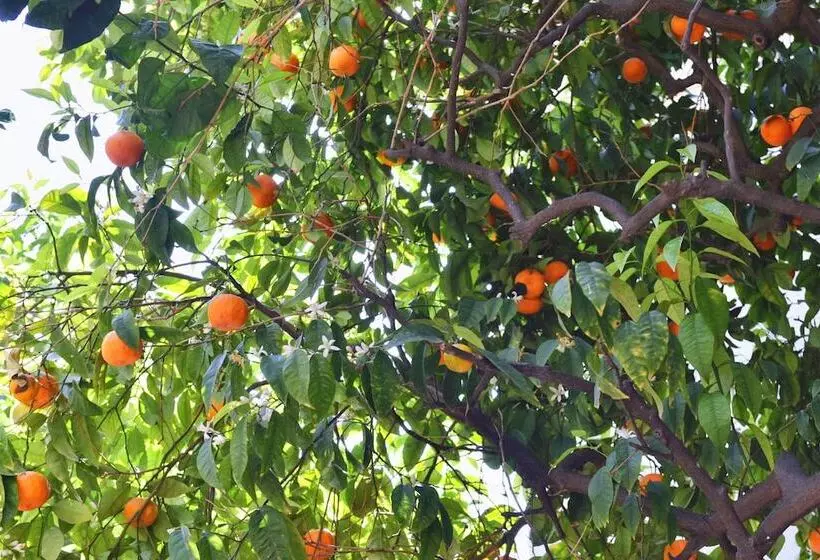 Fotos del hotel La Villa Nice Promenade:  7