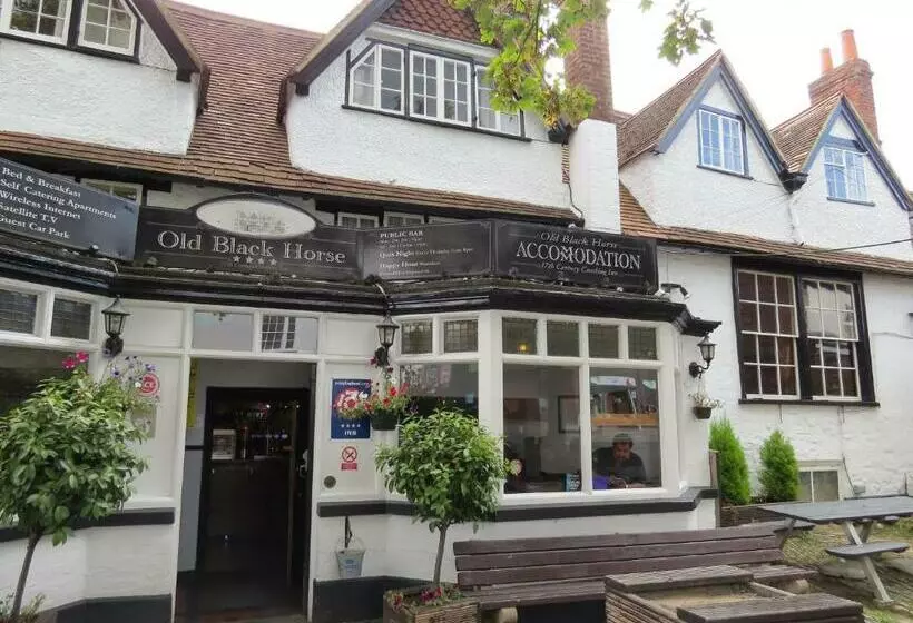 Fotos del hotel Old Black Horse Inn:  3