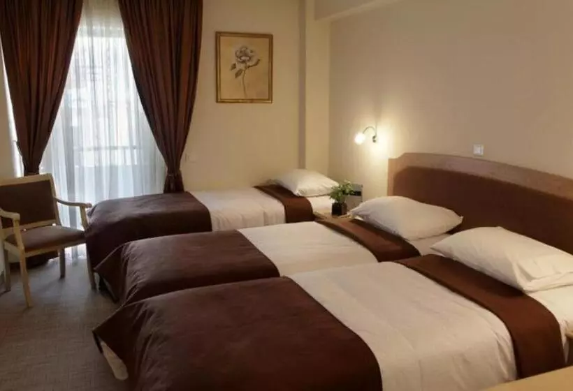 Fotos del hotel Airotel Parthenon:  12