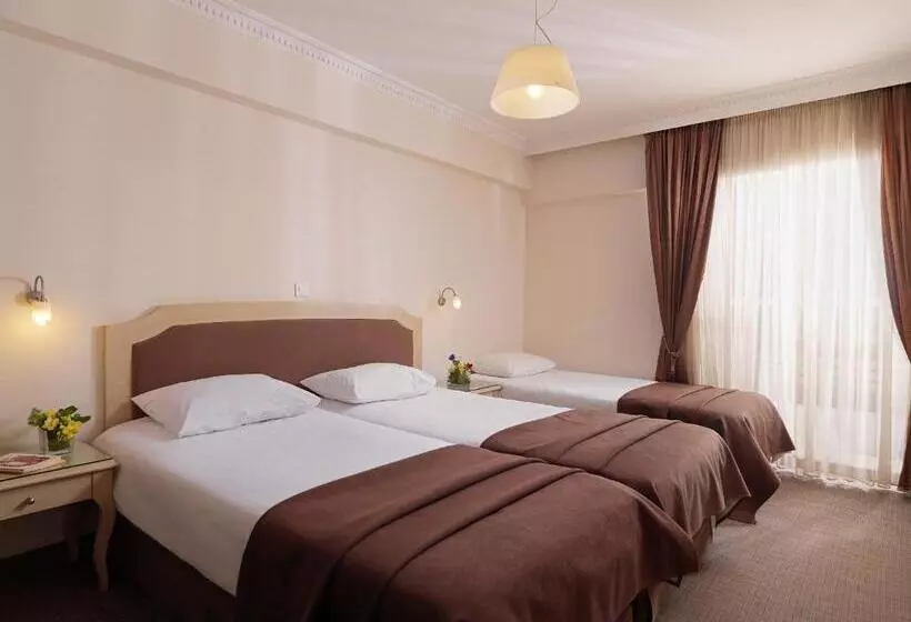 Fotos del hotel Airotel Parthenon:  21