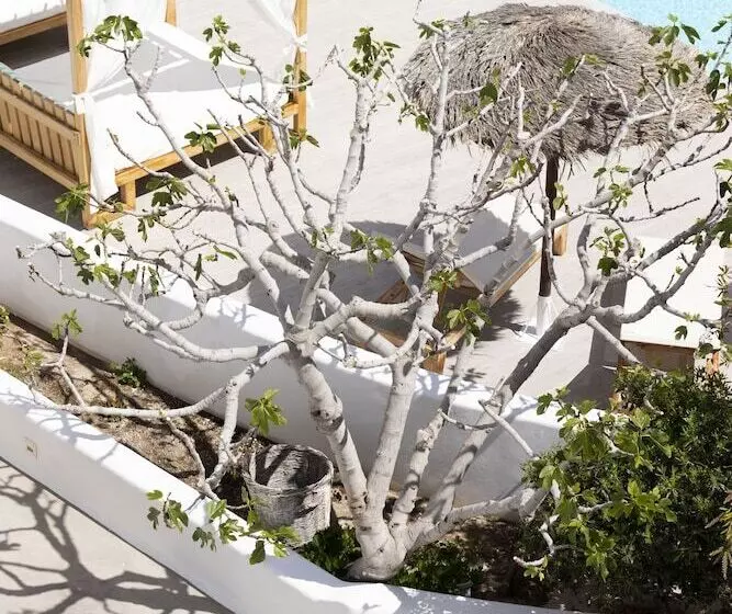 Fotos del hotel Casa Vitae Suites:  5