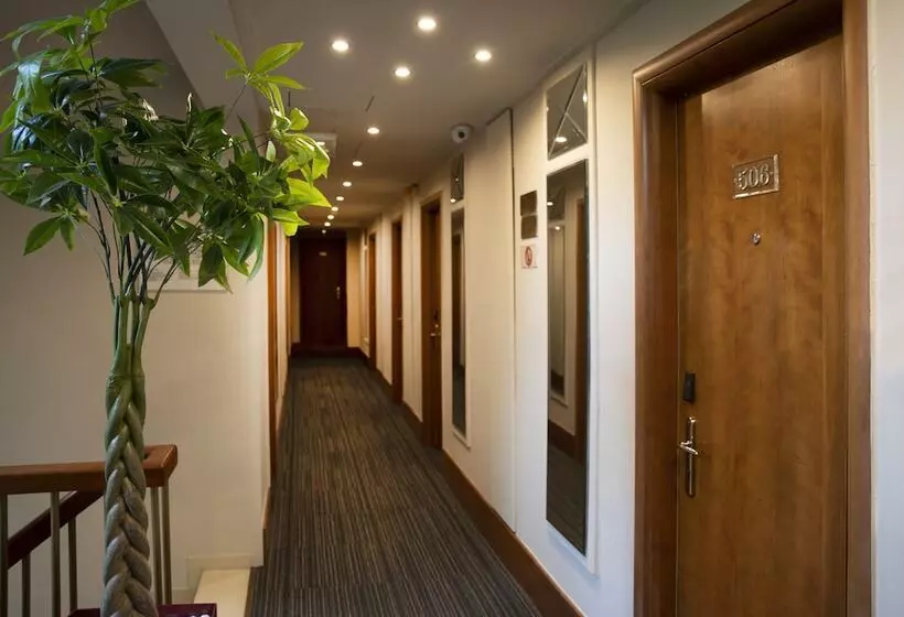 Fotos del hotel Ilisia:  3