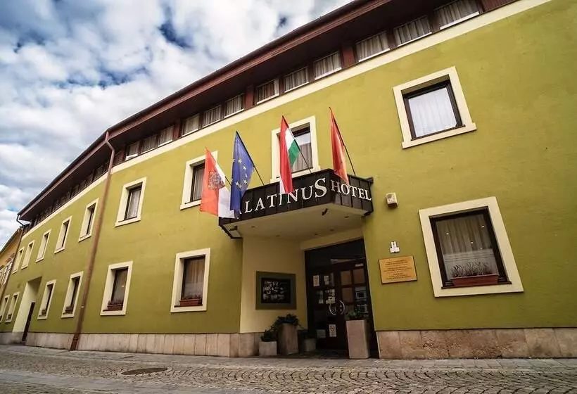 Fotos del hotel Palatinus:  8