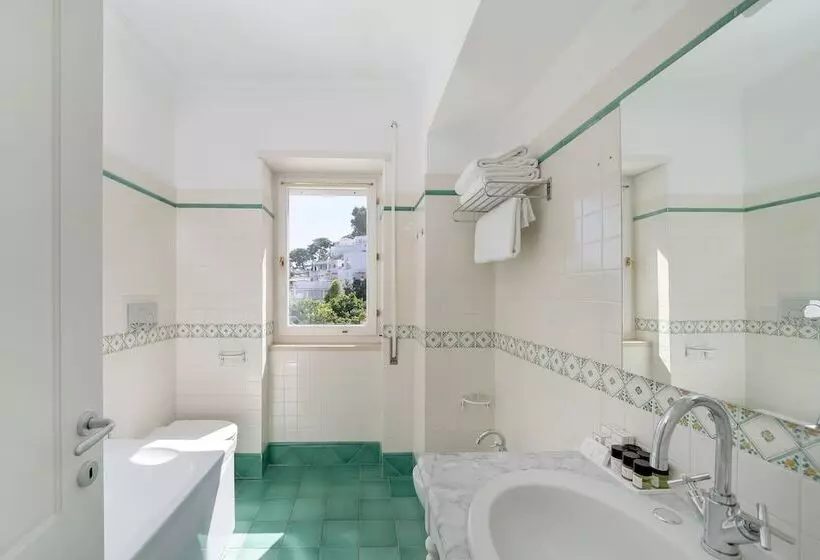 Fotos del hotel Sina Flora:  4