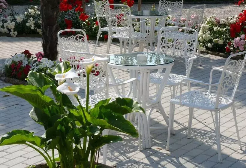 Fotos del hotel Britannia:  7