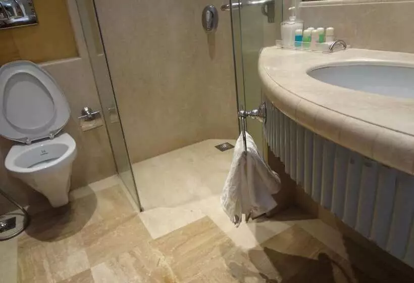 Fotos del hotel Ascot , Colaba:  11