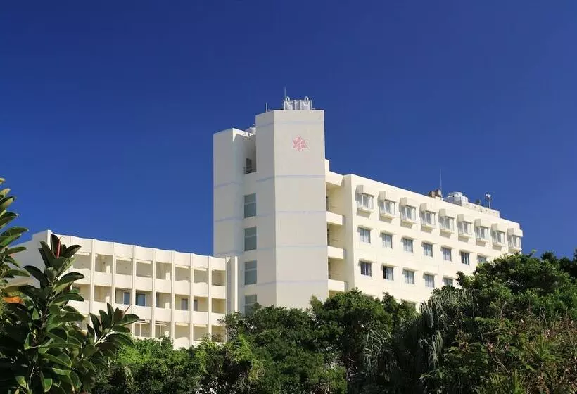 Fotos del hotel Miyahira:  21