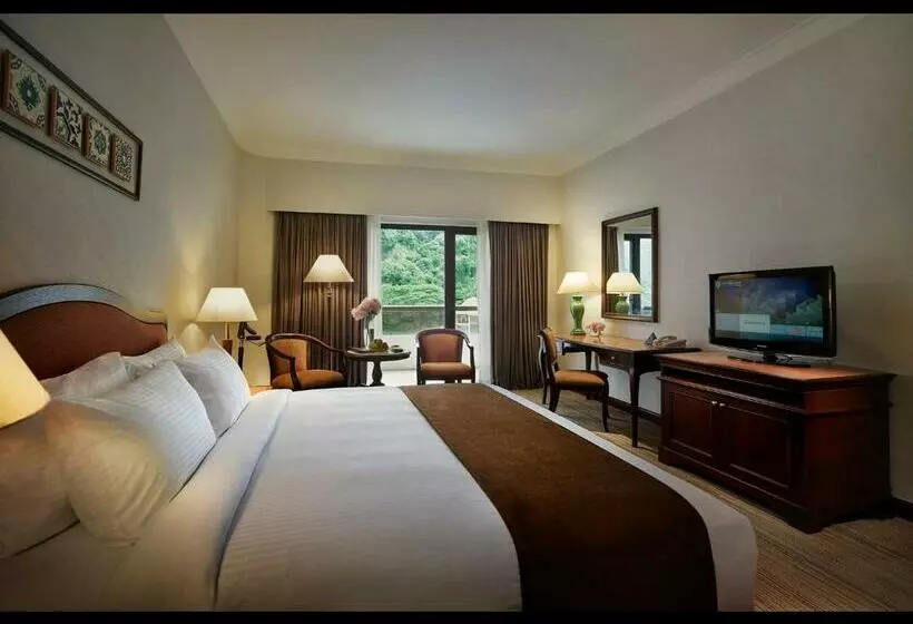 Fotos del hotel Equatorial Penang:  2