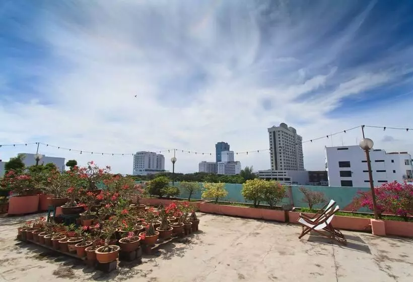 Fotos del hotel Mingood:  23