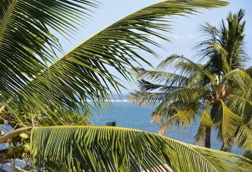 Fotos del hotel Neptune Beach Resort - All Inclusive:  17