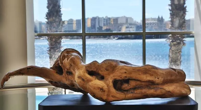 Fotos del hotel Cavalieri Art:  11