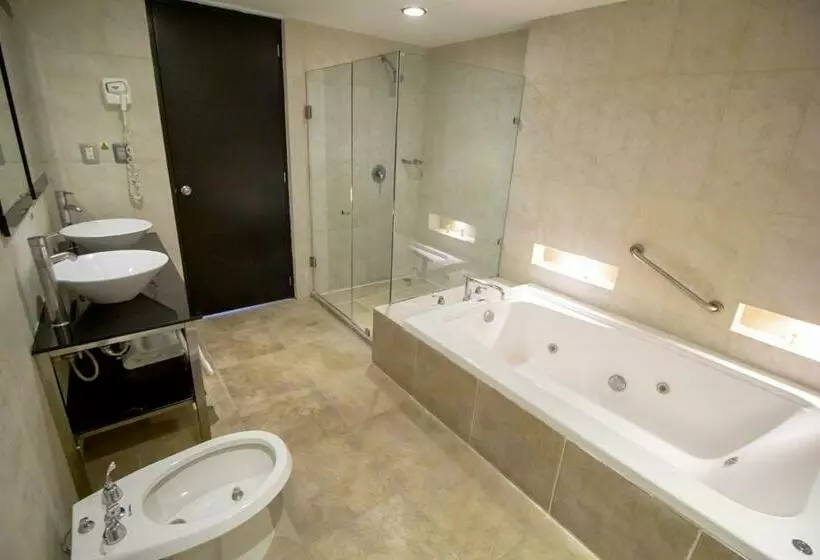 Fotos del hotel El Español Paseo De Montejo:  8