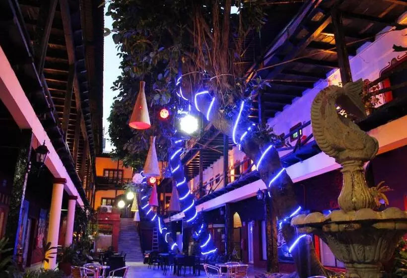 Fotos del hotel La Siesta:  5