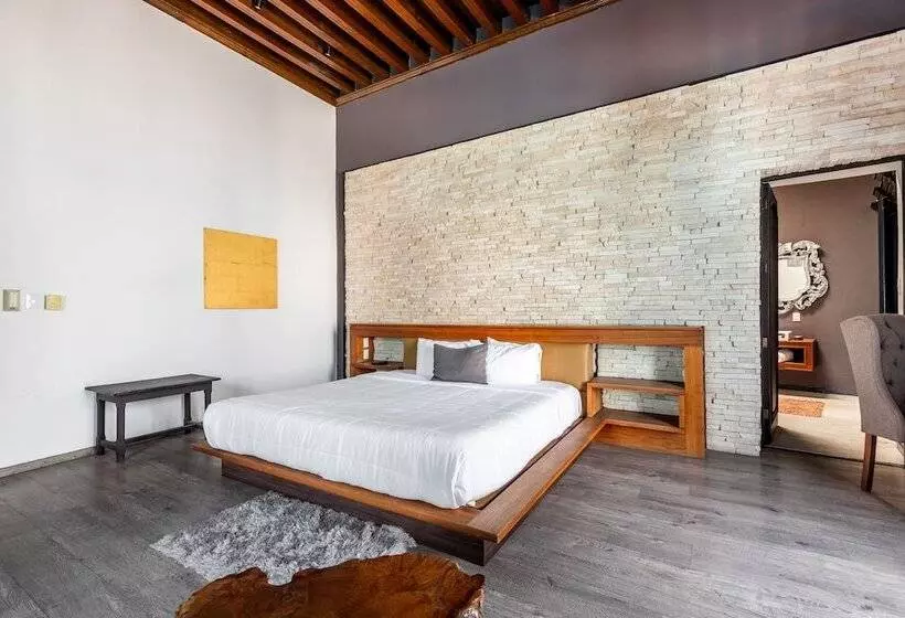 Fotos del hotel Mesón De Santa Rosa Luxury:  5