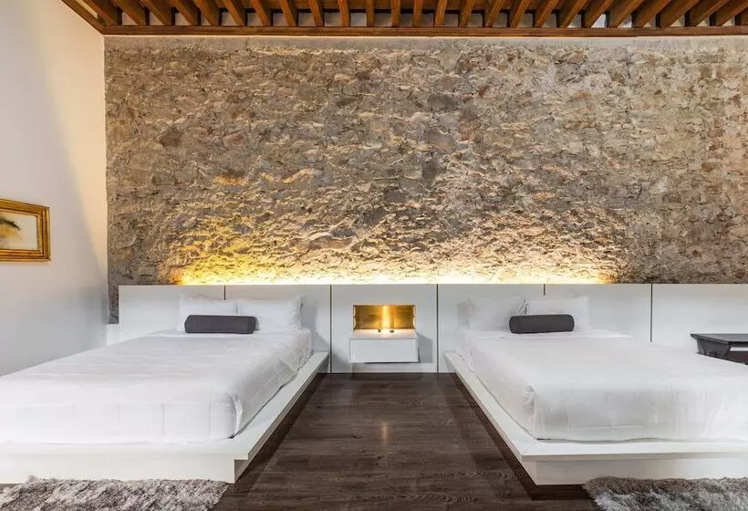 Fotos del hotel Mesón De Santa Rosa Luxury:  3