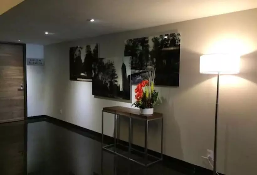 Fotos del hotel Metropol:  4