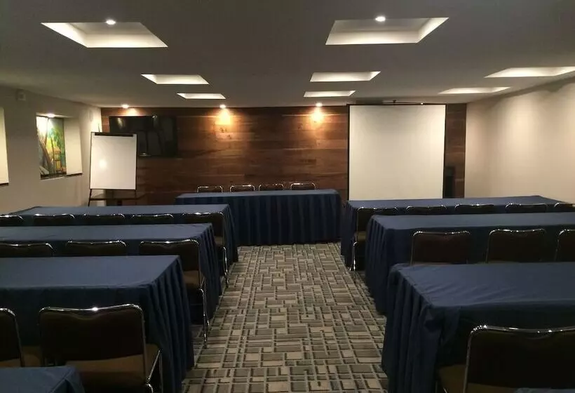 Fotos del hotel Metropol:  16