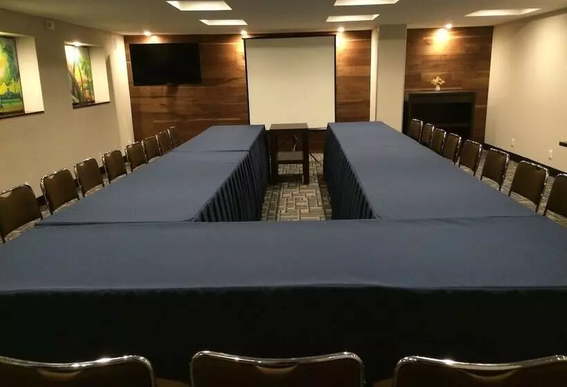 Fotos del hotel Metropol:  13