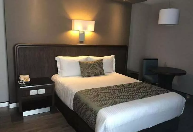 Fotos del hotel Metropol:  22