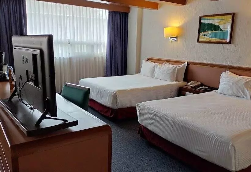 Fotos del hotel Metropol:  20