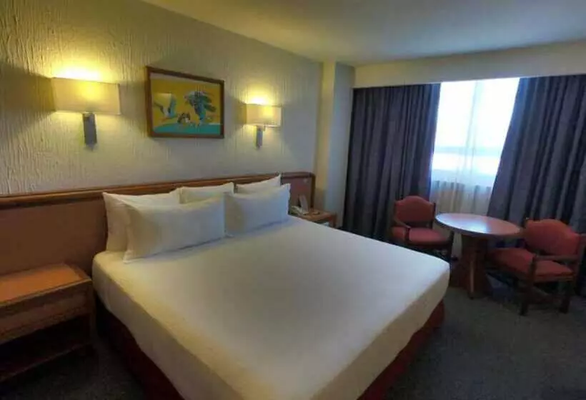 Fotos del hotel Metropol:  14