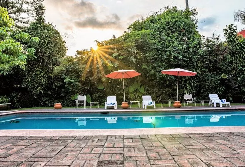 Fotos del hotel San Angelo:  14