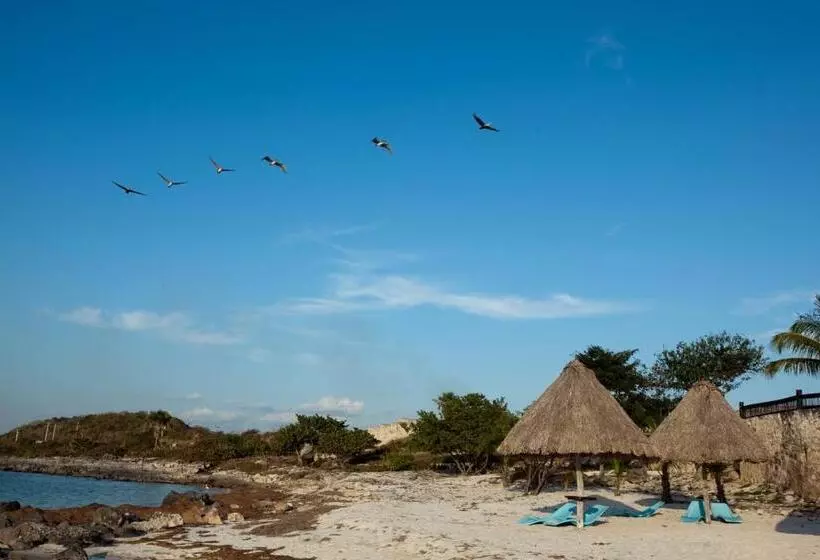 Fotos del hotel Tucan Siho Playa:  21