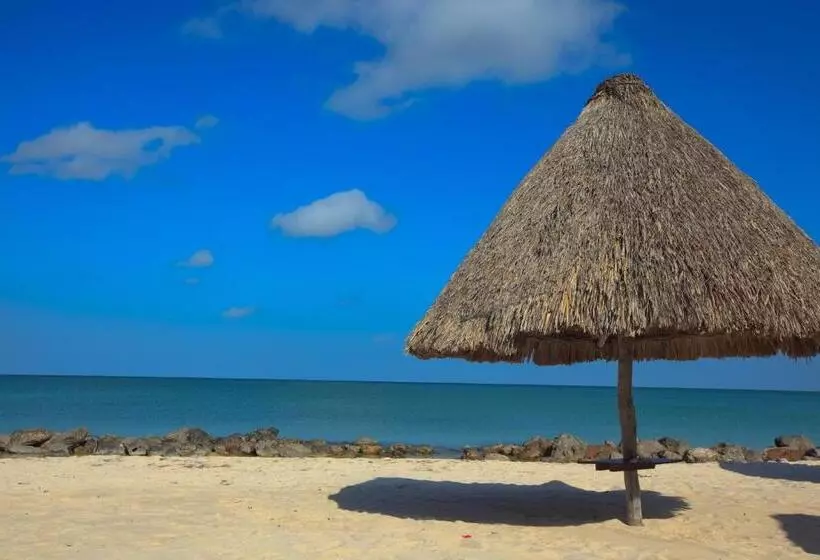 Fotos del hotel Tucan Siho Playa:  12