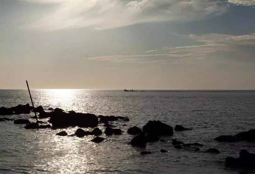 Fotos del hotel Tucan Siho Playa:  23