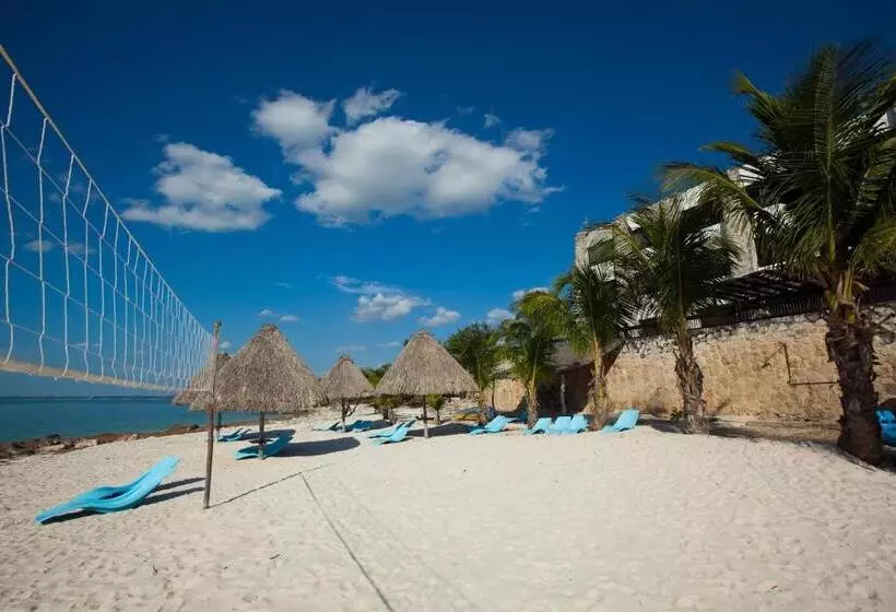 Fotos del hotel Tucan Siho Playa:  15