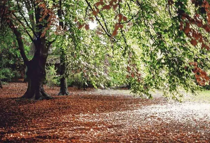 Fotos del hotel Hilton Rotterdam:  7