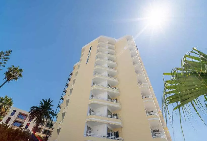 Fotos del hotel Muthu Raga Madeira:  24