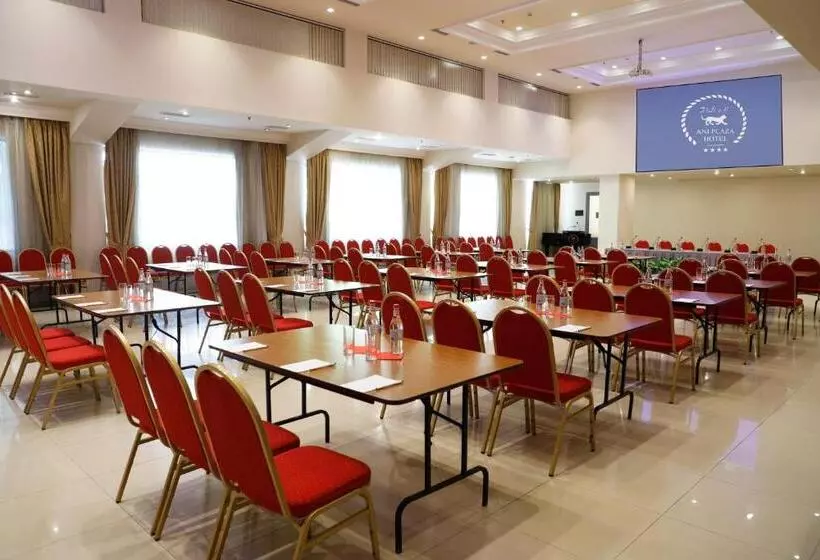 Fotos del hotel Ani Plaza:  20