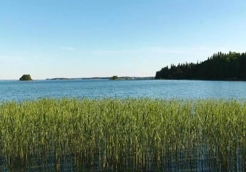 Fotos del hotel Ruissalo Spa:  13