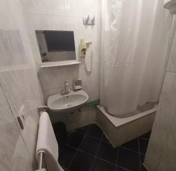 Fotos del hotel New Garden Palace:  5